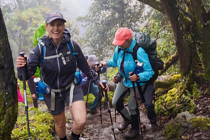 Kilimanjaro Day Trek: Rainforest Experience to Mandara Hut
