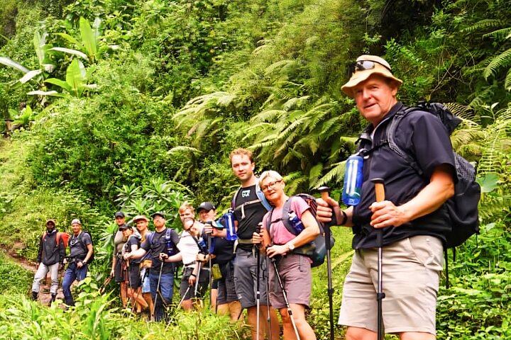 Kilimanjaro Day Trek: Rainforest Experience to Mandara Hut