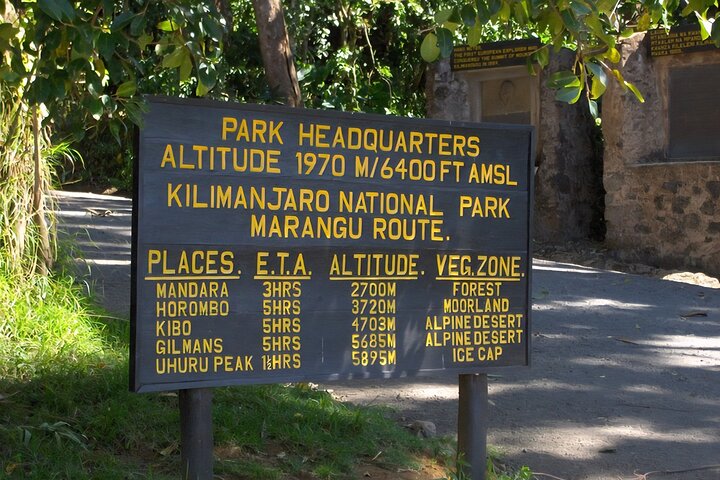 Kilimanjaro Day Trek: Rainforest Experience to Mandara Hut