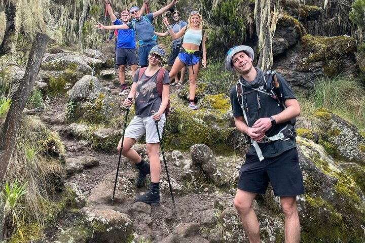 Kilimanjaro Day Trek: Rainforest Experience to Mandara Hut