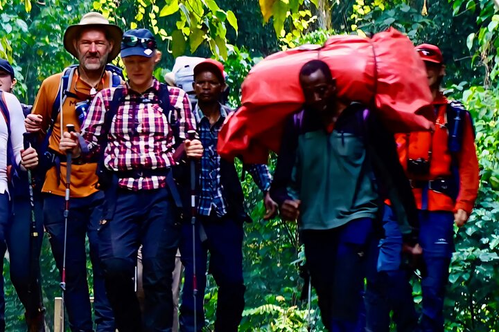 Kilimanjaro Day Trek: Rainforest Experience to Mandara Hut