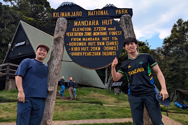 Kilimanjaro Day Trek: Rainforest Experience to Mandara Hut