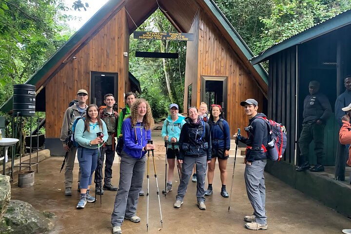 Kilimanjaro Day Trek: Rainforest Experience to Mandara Hut