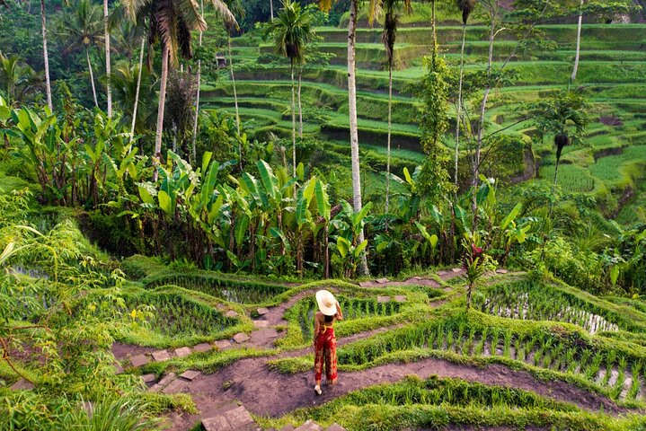 Authentic Ubud Experience with French Speaking Guide
