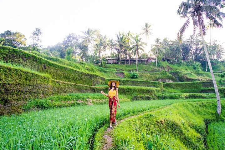 Authentic Ubud Experience with French Speaking Guide