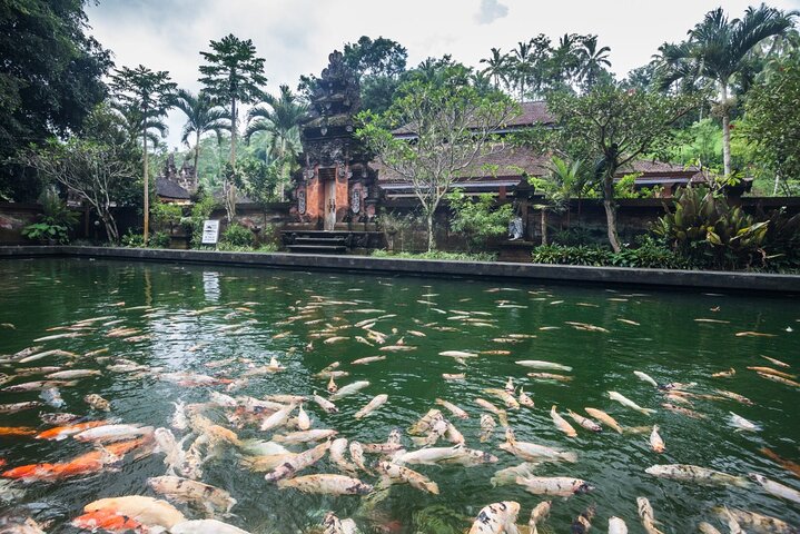 Authentic Ubud Experience with French Speaking Guide
