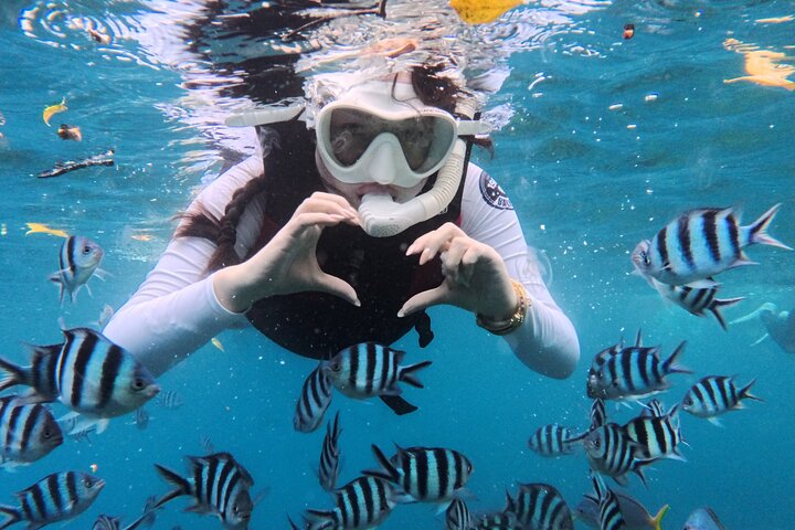 Palau Snorkeling