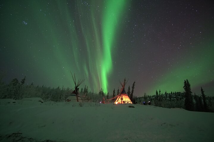 Arctic Day: Aurora Viewing Tour | late night