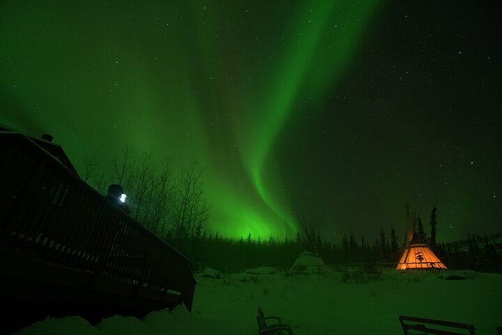 Arctic Day: Aurora Viewing Tour | late night