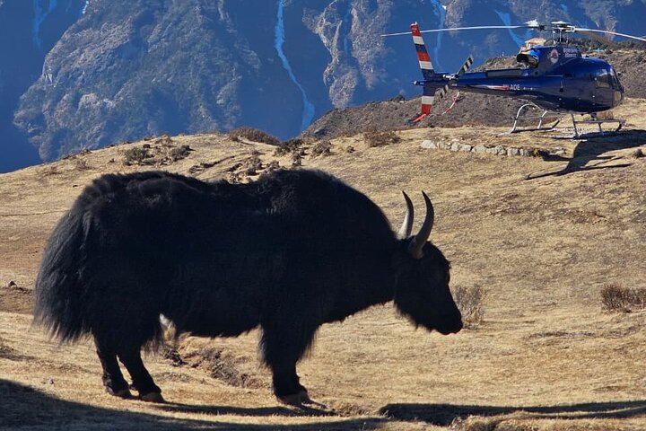 Landing Everest Base Camp Kalapathar by Helicopter with Breakfast