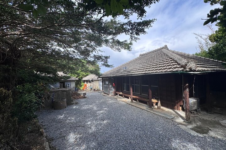 Near Churaumi Aquarium | Longevity Secrets × Food & Culture
