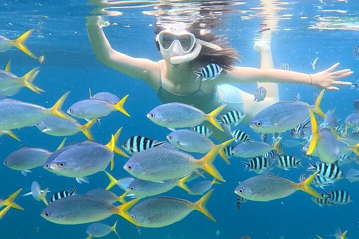 Palau Snorkeling