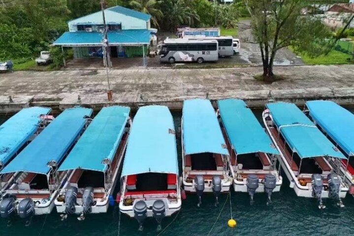 Palau Snorkeling