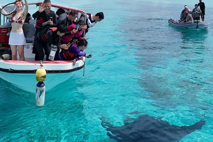 Palau Snorkeling