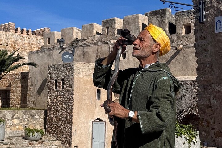 Private Luxury 4-Hour Tangier tour