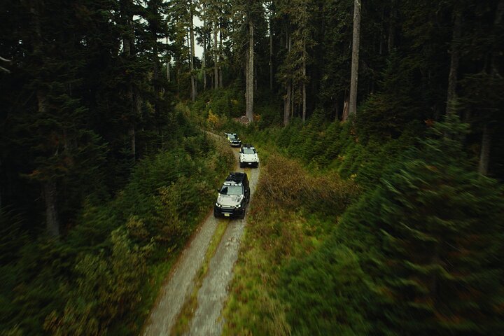 Whistler Morning With The Bears Land Rover Scenic Tour