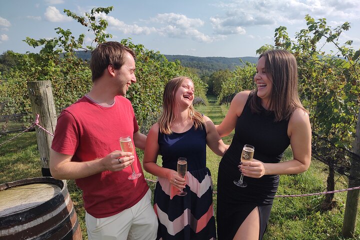 Harpers Ferry to VA Wine Country 4 Hour Tour for 4 Guests