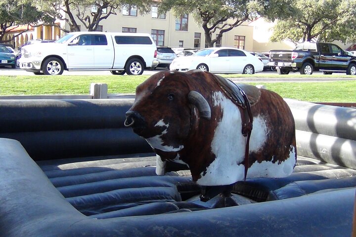 Fort Worth Heritage & Landmarks 70 Min & 3 Hours Van Tour
