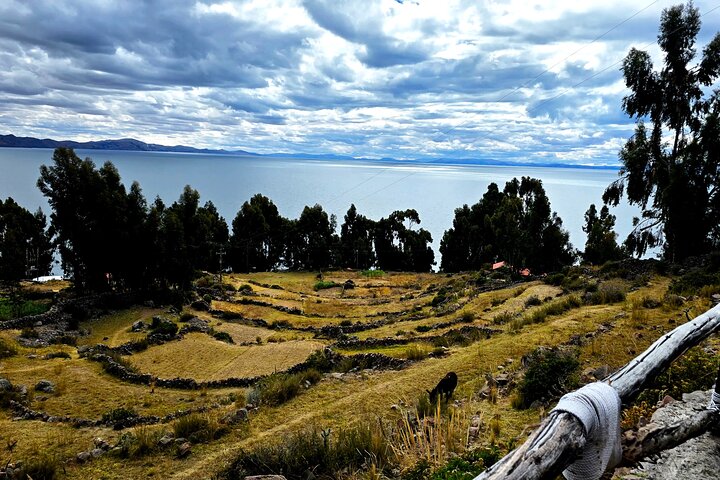 Full Day Tour to Uros and Amantani Islands