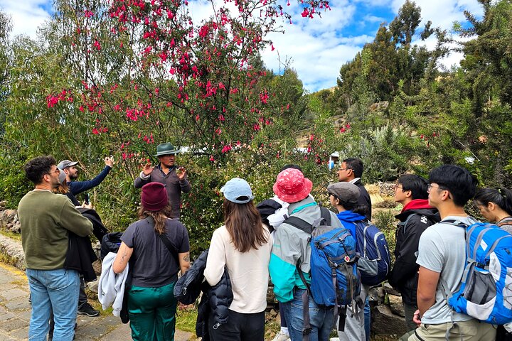 Full Day Tour to Uros and Amantani Islands