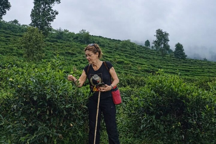 Authentic Pokhara - 2 Days of Immersive Experiences