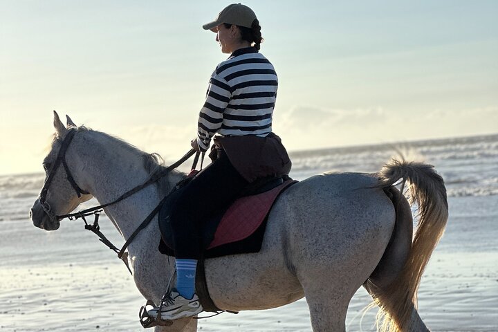 Horseback Riding in Essaouira - Essaouira HorseRiding