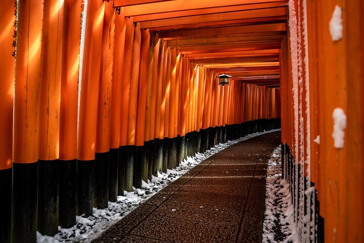 Best of Kyoto Half Day Small Group Tour from Osaka