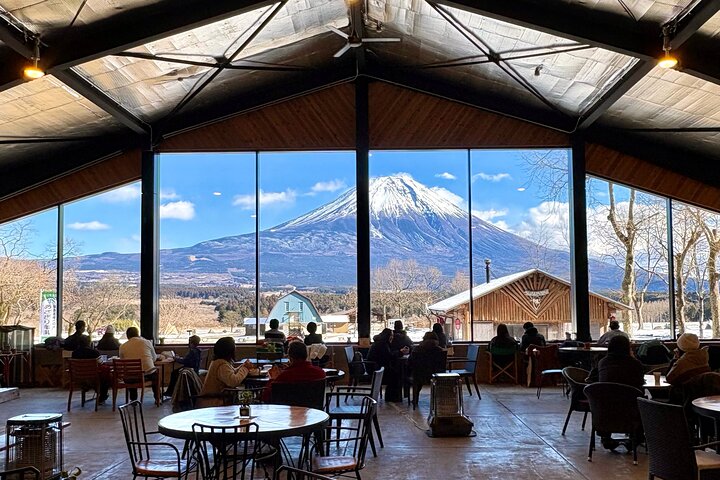 Mt. Fuji Half-Day Private Cultural Tour: Shinkansen Stopover