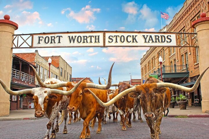 Fort Worth Heritage and Landmark Van Tour 70 min or 3 hours