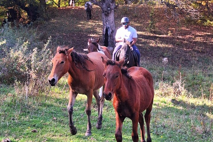 Horseback Riding Around Tsovakar Mountain