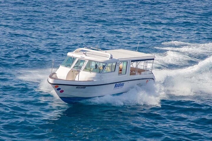 Maldives: Swim with Stingrays & Explore 3 Unique Snorkeling Sites