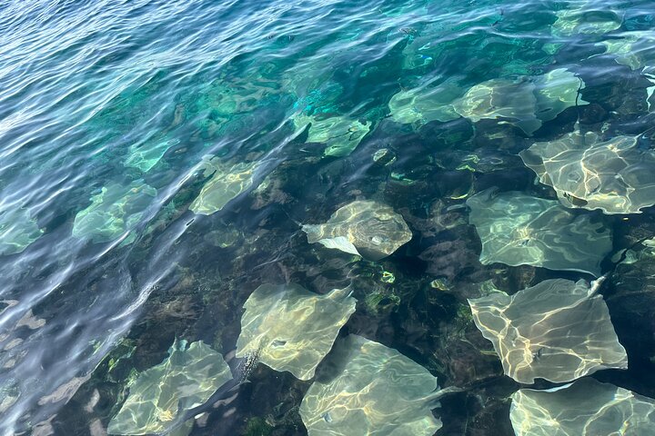 Maldives: Swim with Stingrays & Explore 3 Unique Snorkeling Sites