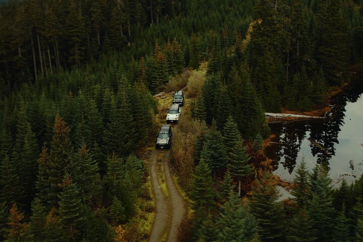 Whistler Morning With The Bears Land Rover Scenic Tour