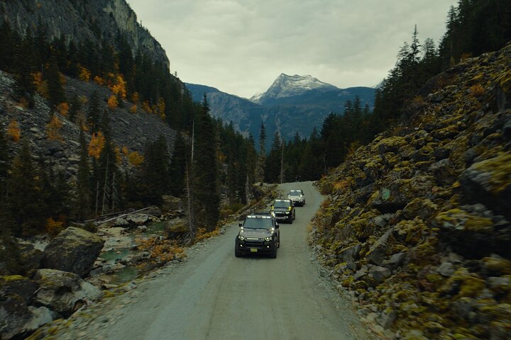 Whistler Morning With The Bears Land Rover Scenic Tour