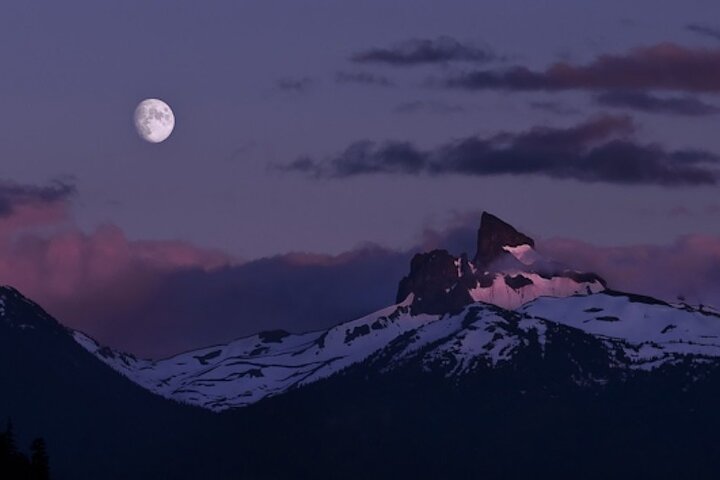 Whistler Morning With The Bears Land Rover Scenic Tour