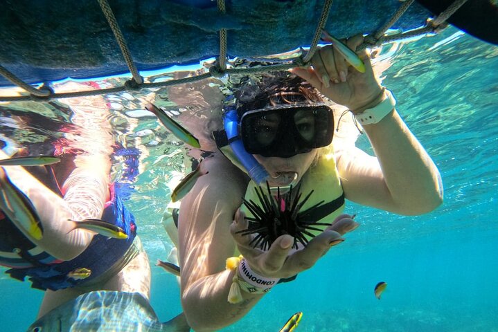 Zipline and Snorkel Adventure in Ixtapa Zihuatanejo