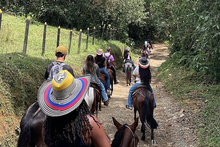 Scenic Horseback Riding in the Medellín Mountains