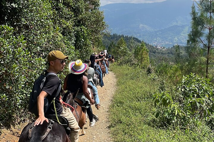 Scenic Horseback Riding in the Medellín Mountains