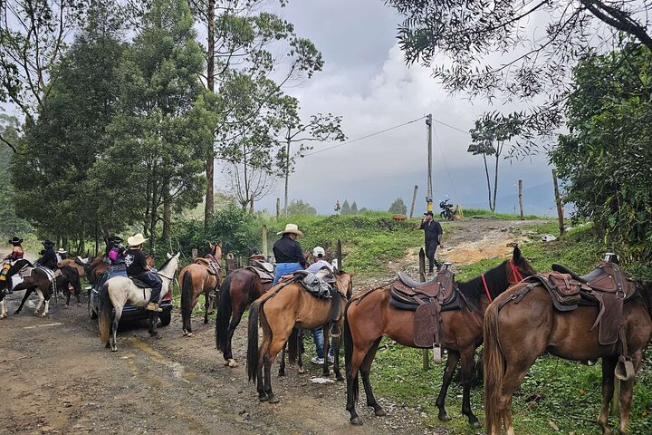 Scenic Horseback Riding in the Medellín Mountains