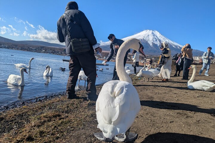 Lake Kawaguchi : Exclusive Private Customized Tour w/ Local Guide