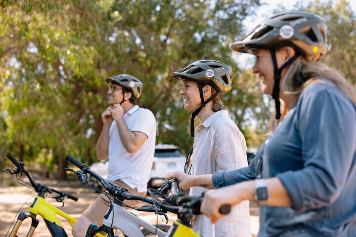 Half Day Wadandi Track Scenic E-Bike Tour