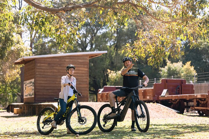 Half Day Wadandi Track Scenic E-Bike Tour
