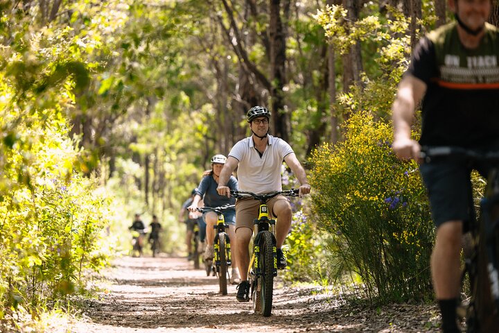Half Day Wadandi Track Scenic E-Bike Tour
