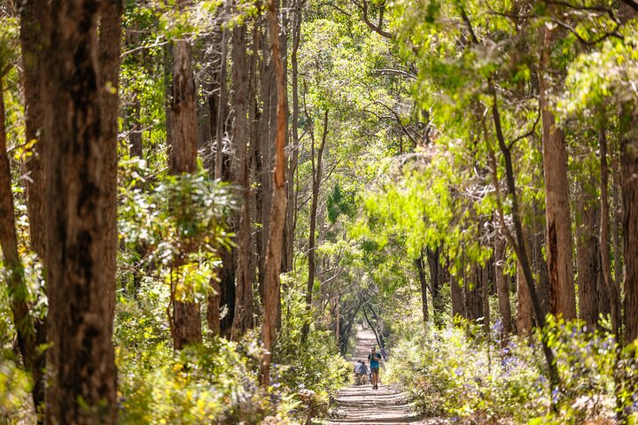 Half Day Wadandi Track Scenic E-Bike Tour