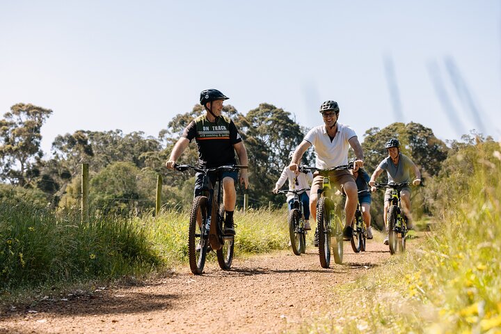 Half Day Wadandi Track Scenic E-Bike Tour