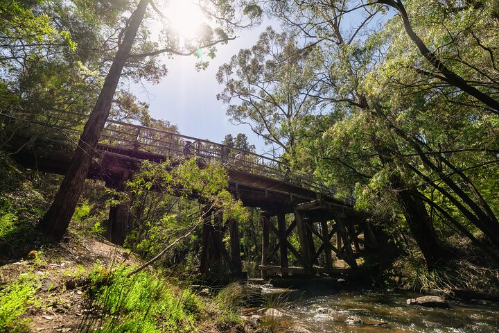 Half Day Wadandi Track Scenic E-Bike Tour