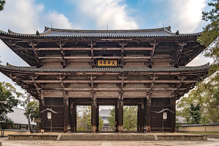 Nara Private Custom Tour｜Sacred Deer, Temples & Timeless Nature