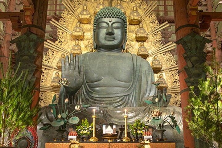 Nara Private Custom Tour｜Sacred Deer, Temples & Timeless Nature