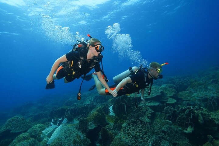 Koh Chang 2 Dive Shipwreck and Coral Reef Scuba Experience