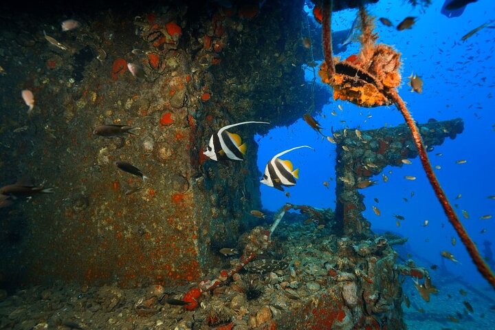 Koh Chang 2 Dive Shipwreck and Coral Reef Scuba Experience